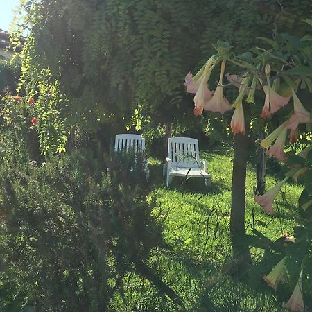 סנטה דומניקה B&B A Casa Di Picci מראה חיצוני תמונה