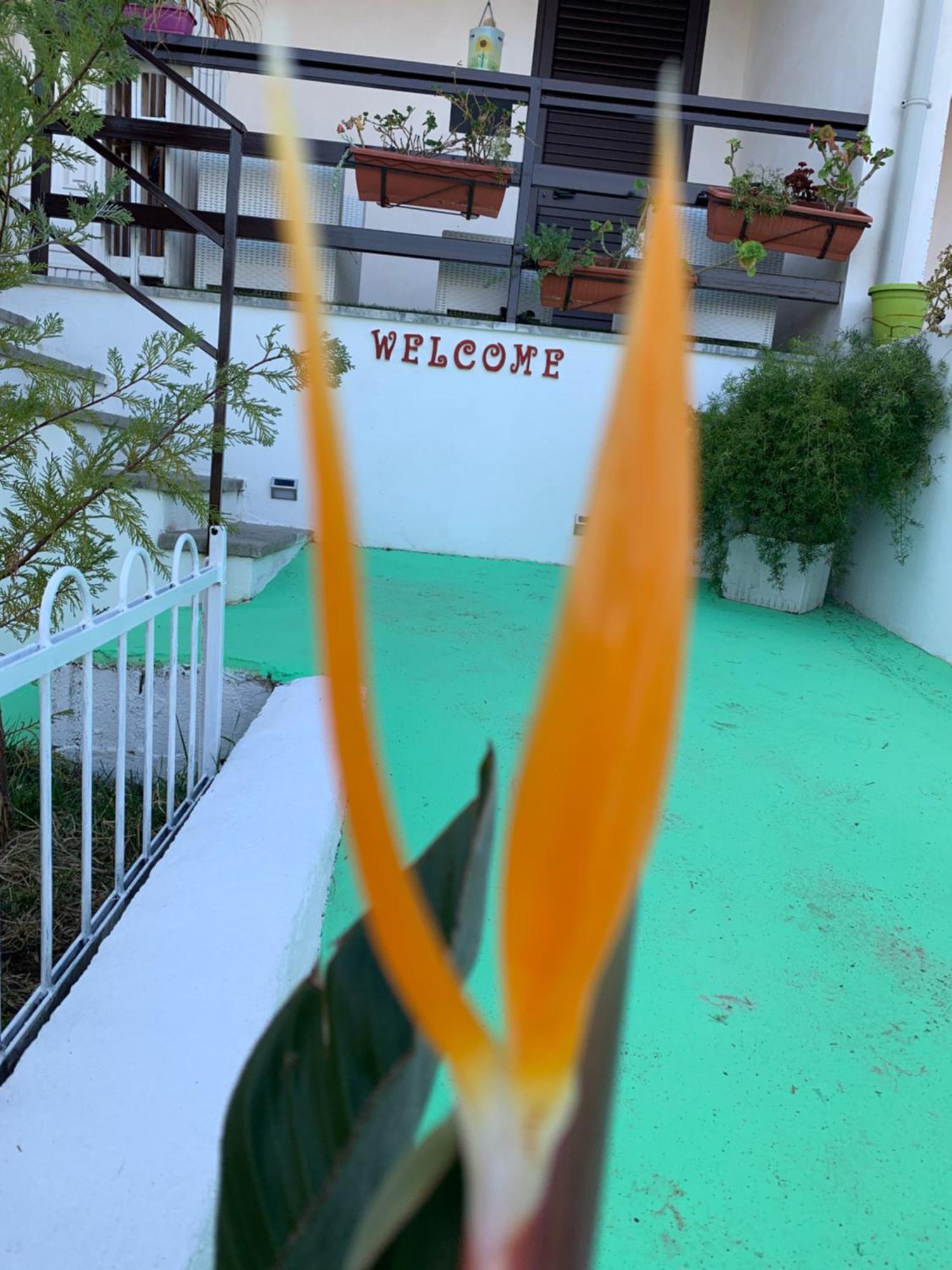 סנטה דומניקה B&B A Casa Di Picci מראה חיצוני תמונה