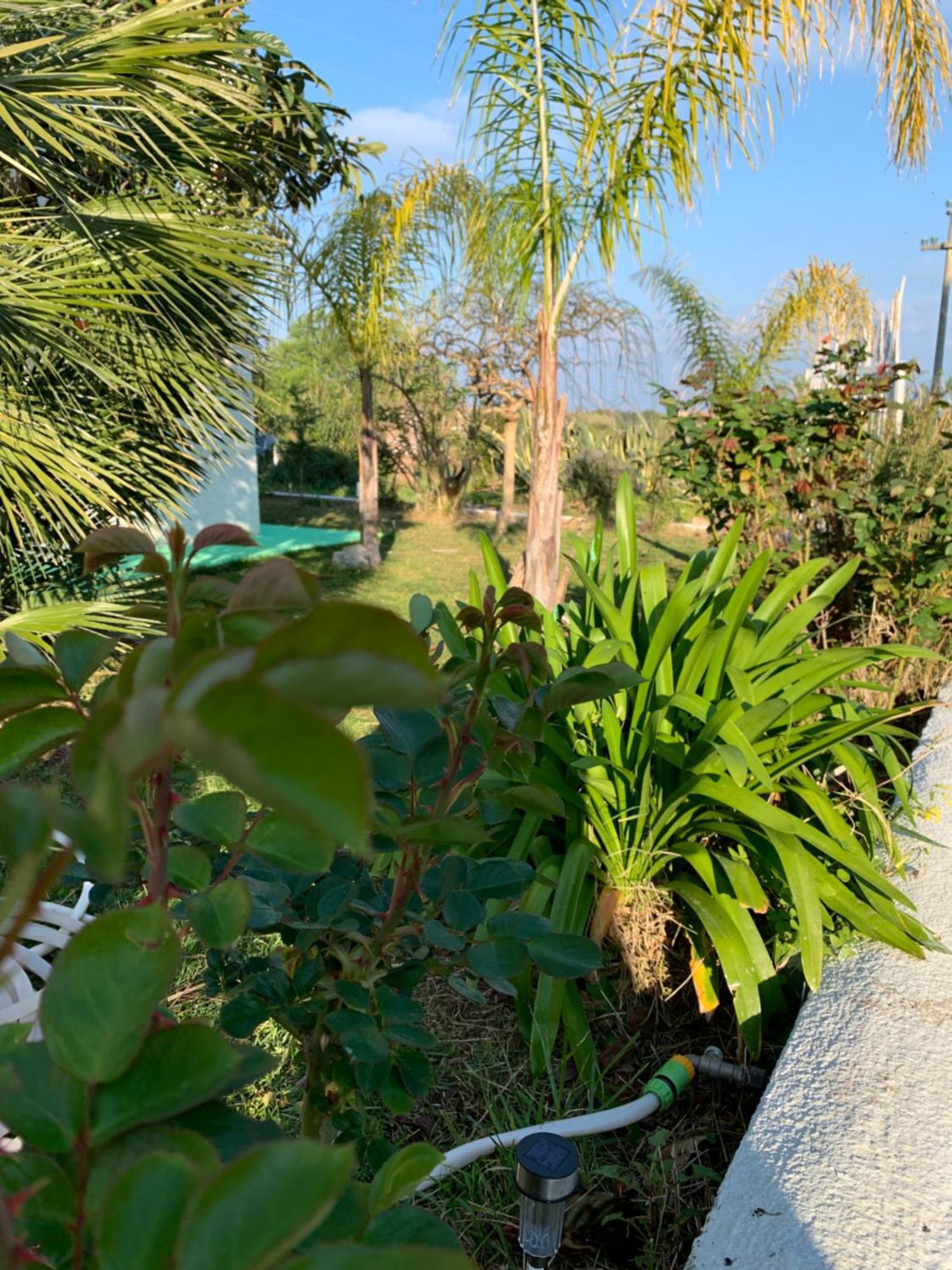 סנטה דומניקה B&B A Casa Di Picci מראה חיצוני תמונה