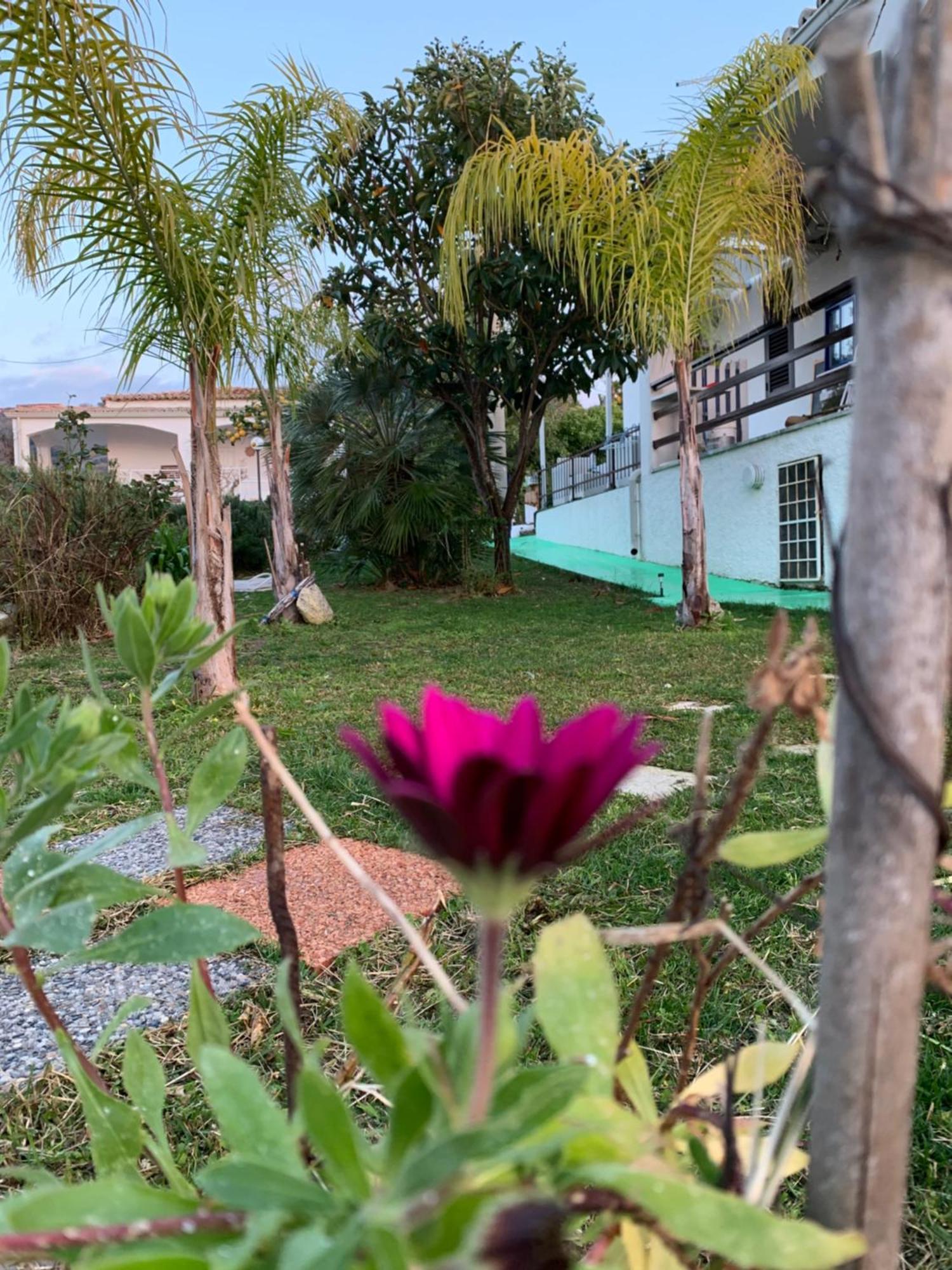 סנטה דומניקה B&B A Casa Di Picci מראה חיצוני תמונה