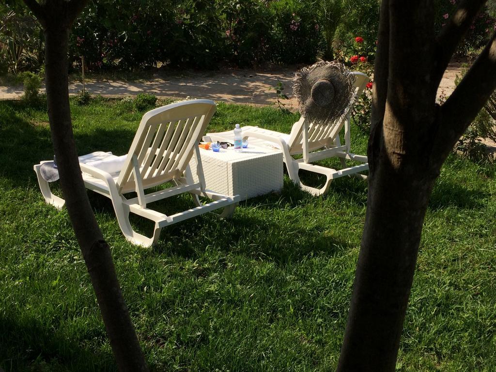 סנטה דומניקה B&B A Casa Di Picci מראה חיצוני תמונה