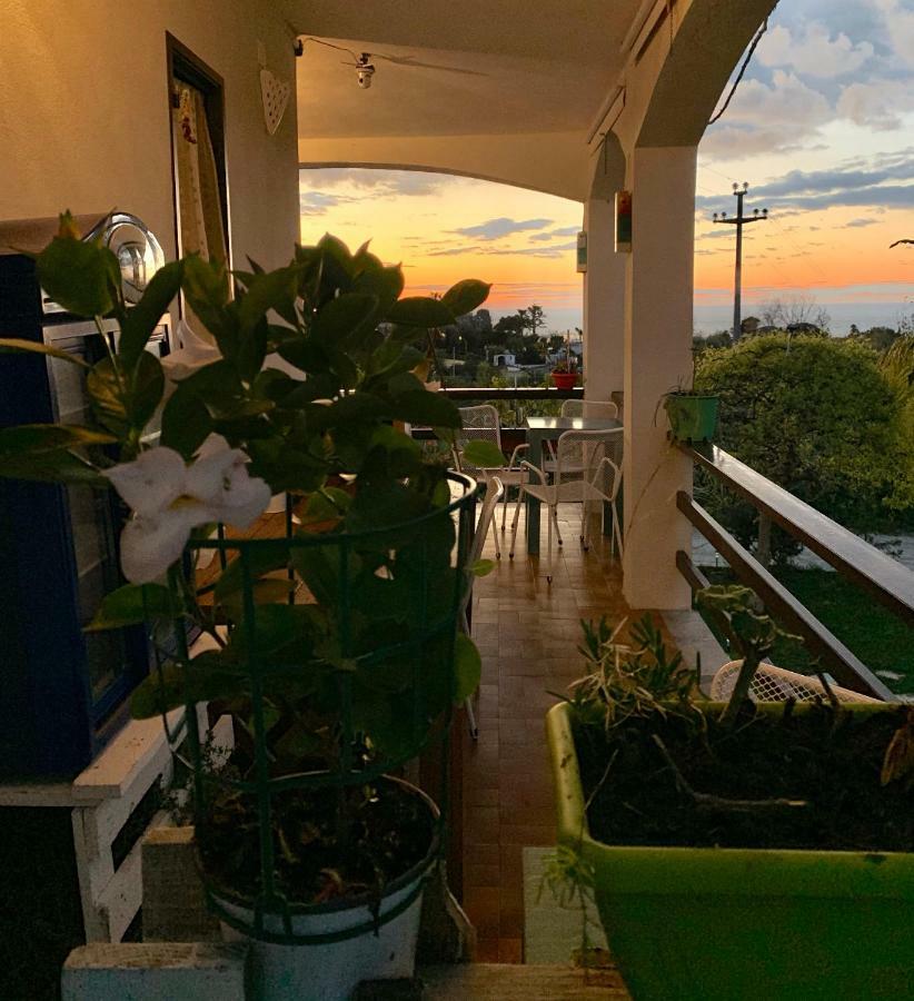 סנטה דומניקה B&B A Casa Di Picci מראה חיצוני תמונה