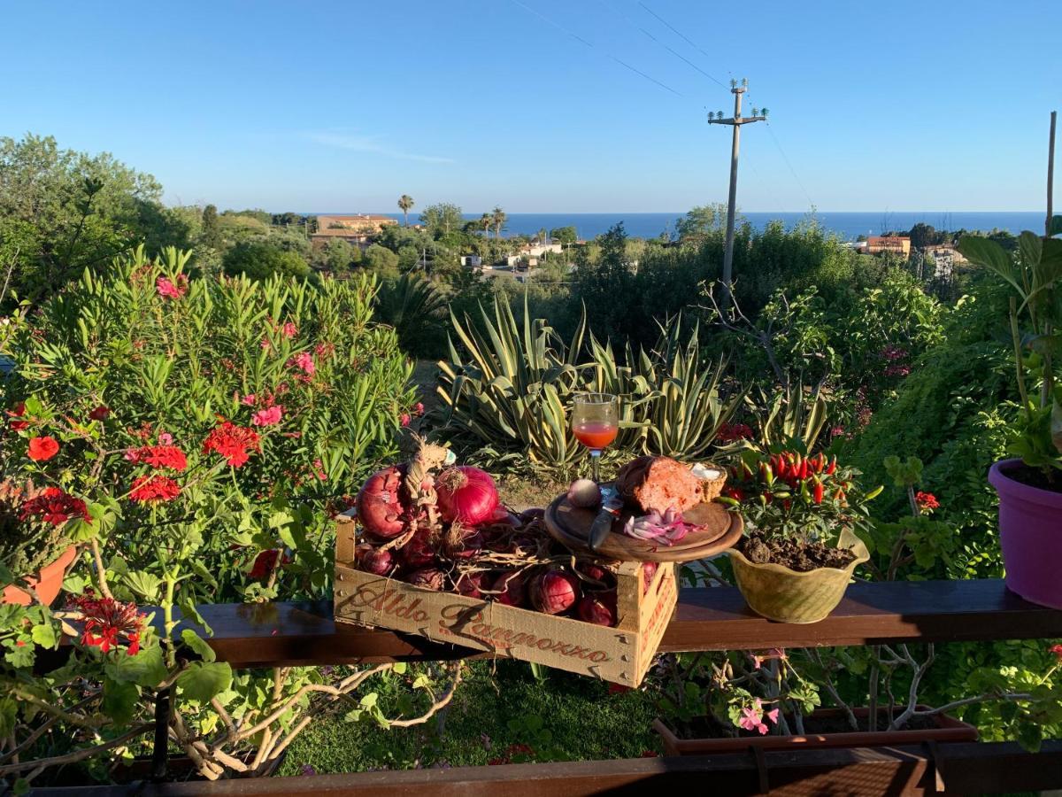 סנטה דומניקה B&B A Casa Di Picci מראה חיצוני תמונה